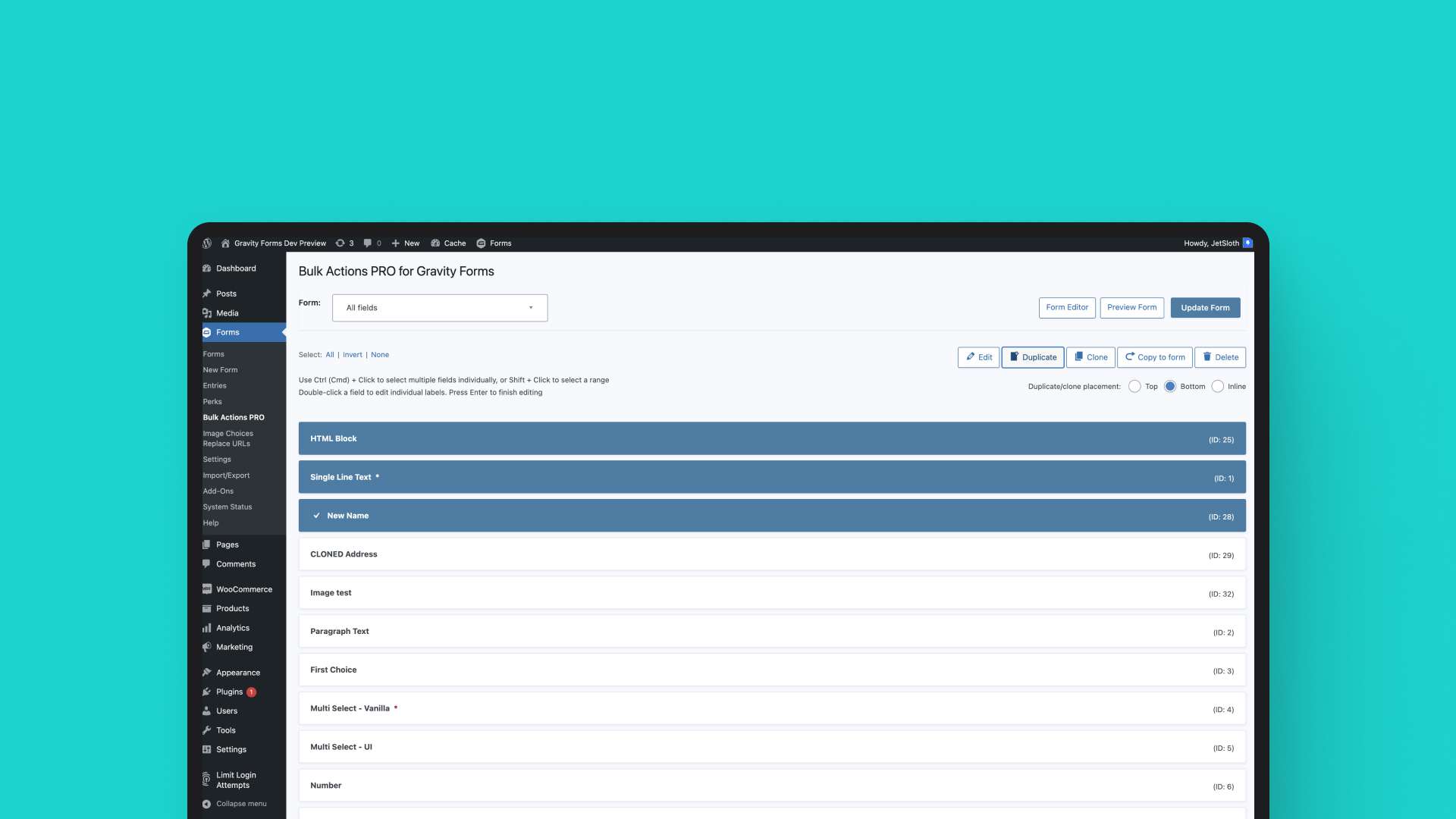 Bulk Actions for Gravity Forms documentation