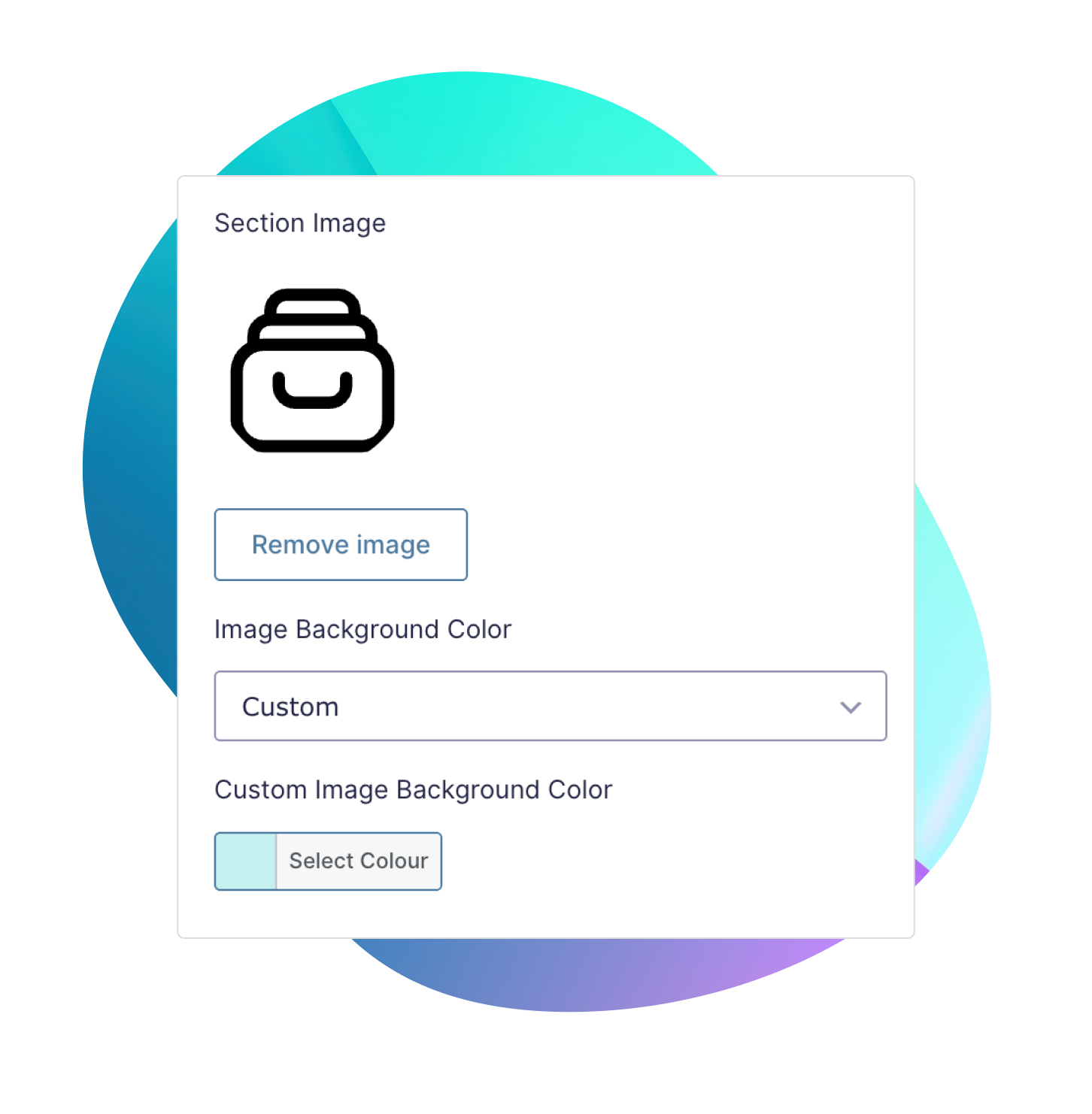 section-image-settings